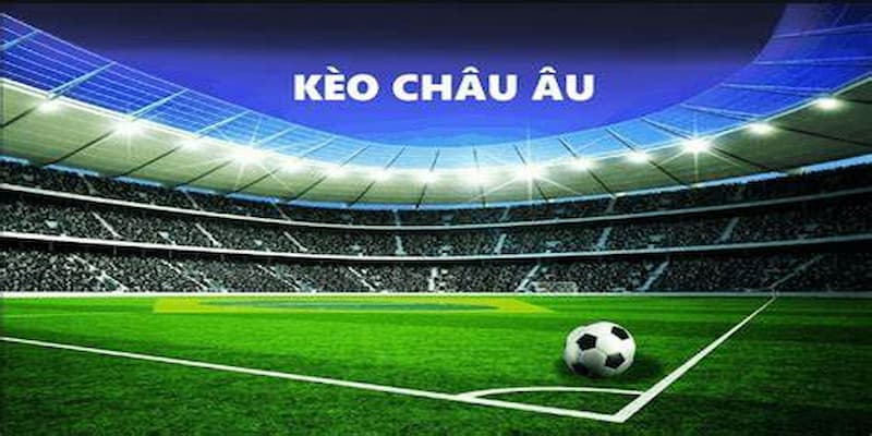 Kinh nghiệm thắng lớn trong cách chọn kèo